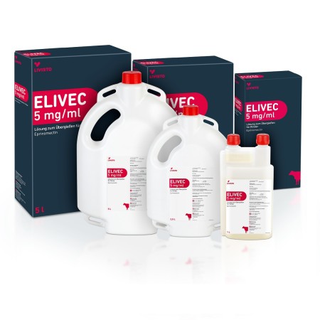 elivec photo elivec photo